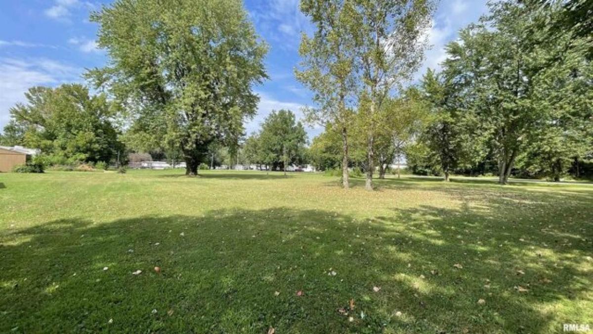 Picture of Residential Land For Sale in Hurst, Illinois, United States