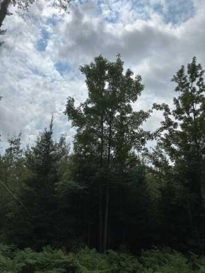 Residential Land For Sale in Tomahawk, Wisconsin