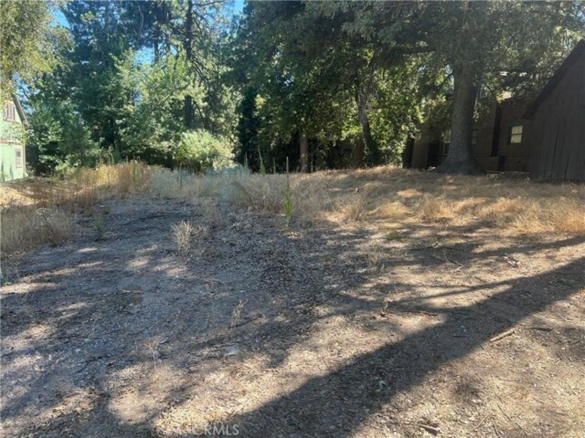 Picture of Residential Land For Sale in Crestline, California, United States