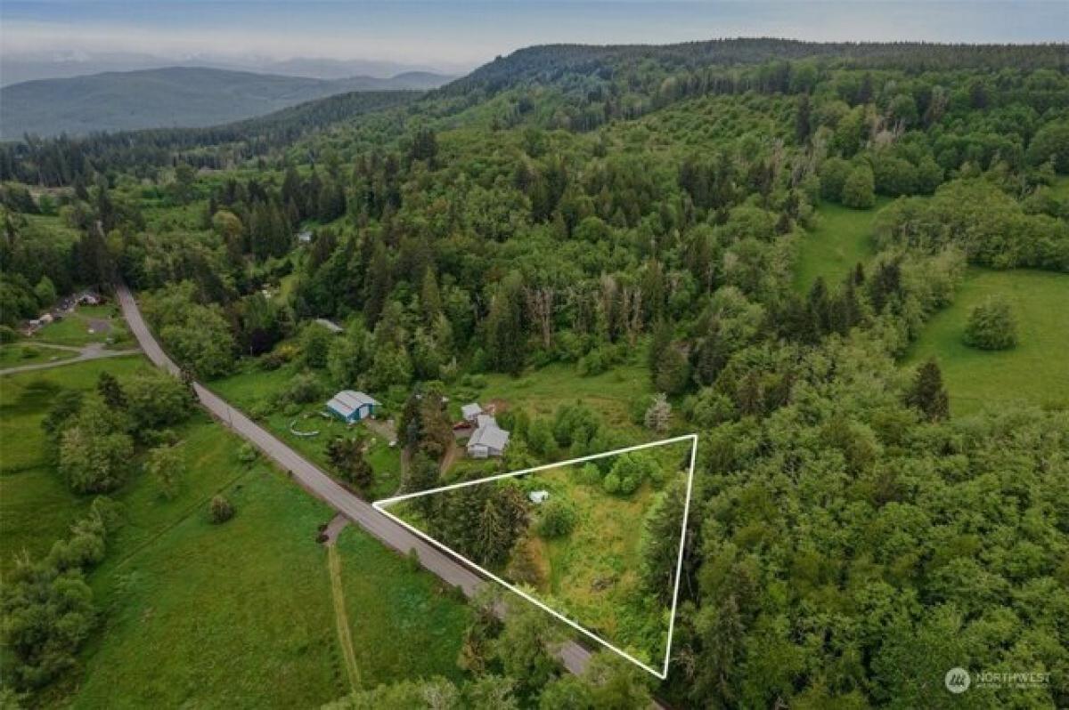 Picture of Residential Land For Sale in Mossyrock, Washington, United States