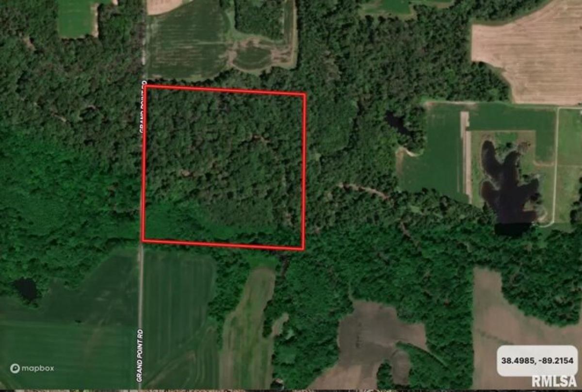 Picture of Residential Land For Sale in Centralia, Illinois, United States