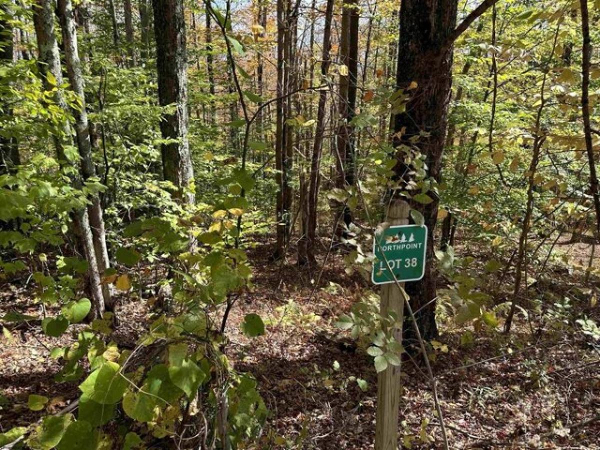 Picture of Residential Land For Sale in Davis, West Virginia, United States