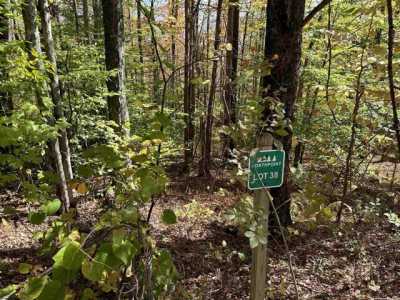 Residential Land For Sale in Davis, West Virginia