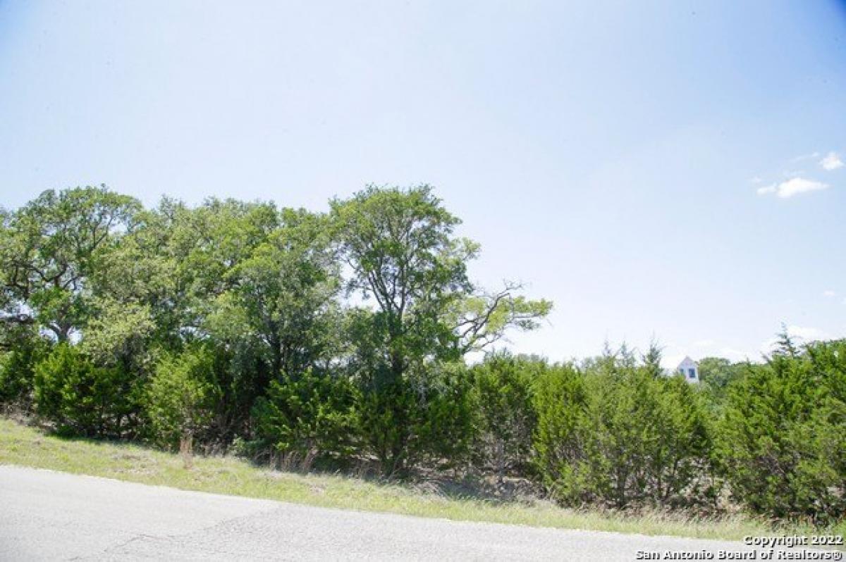 Picture of Residential Land For Sale in New Braunfels, Texas, United States