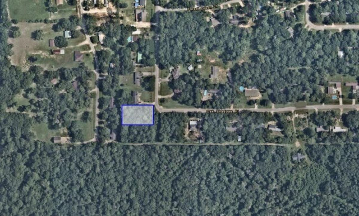 Picture of Residential Land For Sale in New Caney, Texas, United States