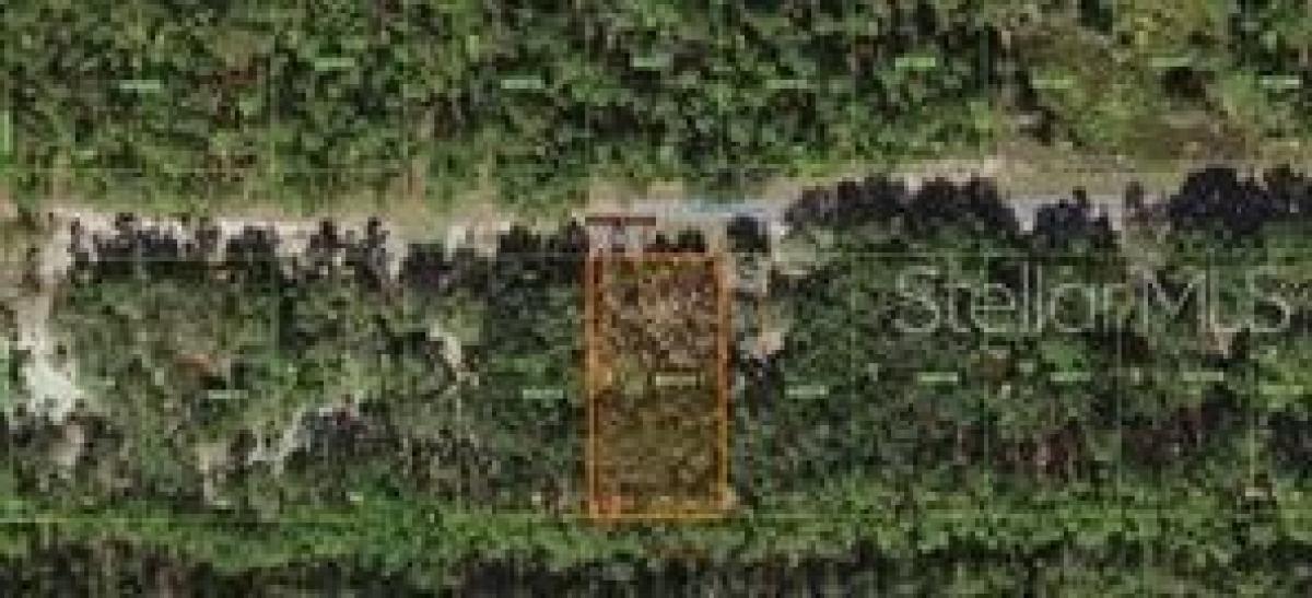 Picture of Residential Land For Sale in Indian Lake Estates, Florida, United States