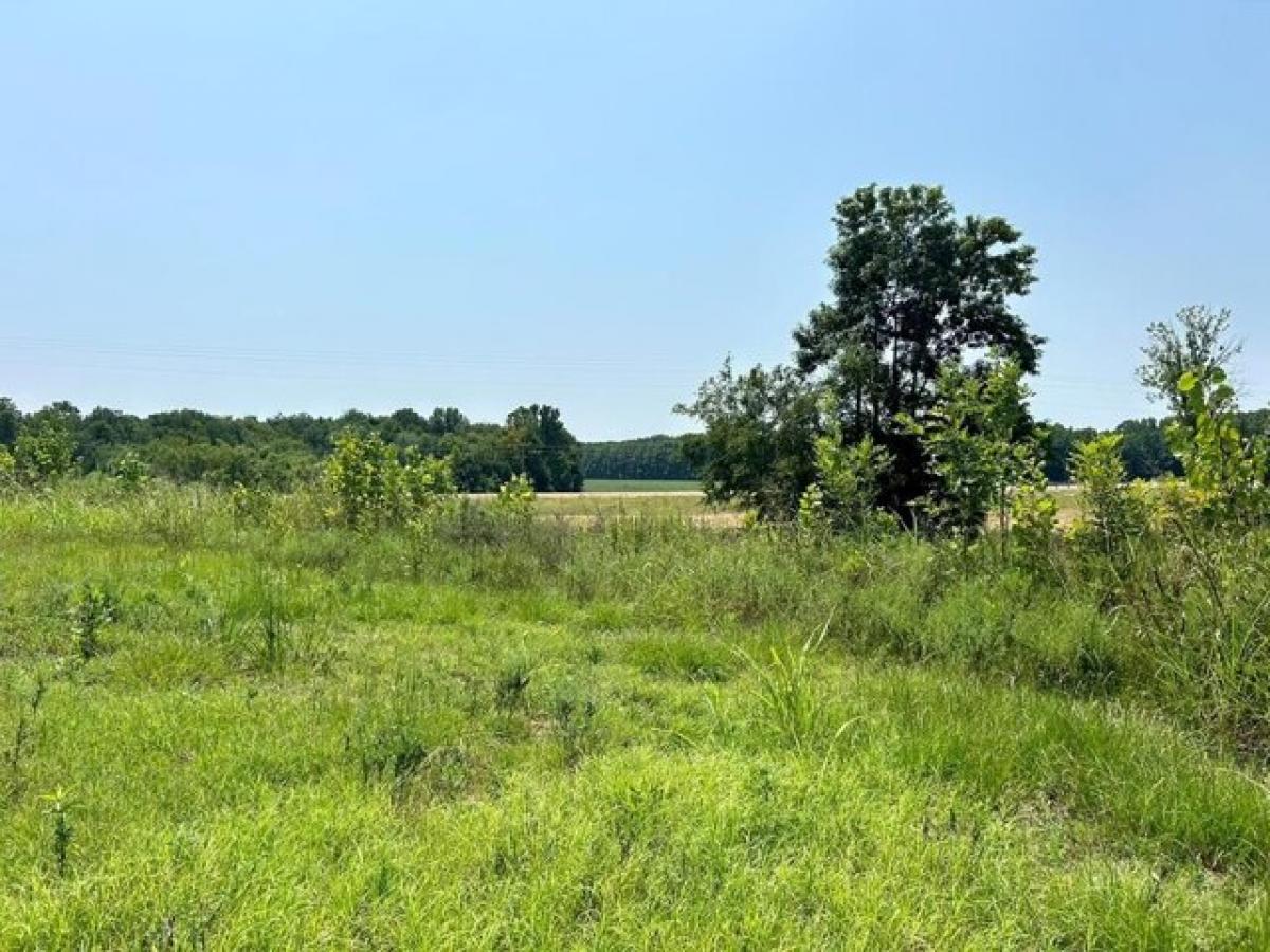 Picture of Residential Land For Sale in Batesville, Mississippi, United States