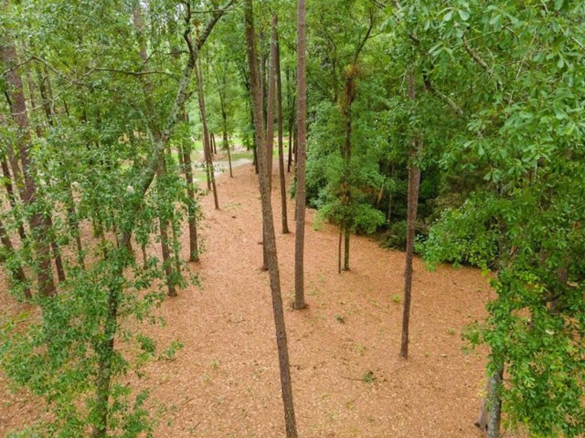 Picture of Residential Land For Sale in Moultrie, Georgia, United States