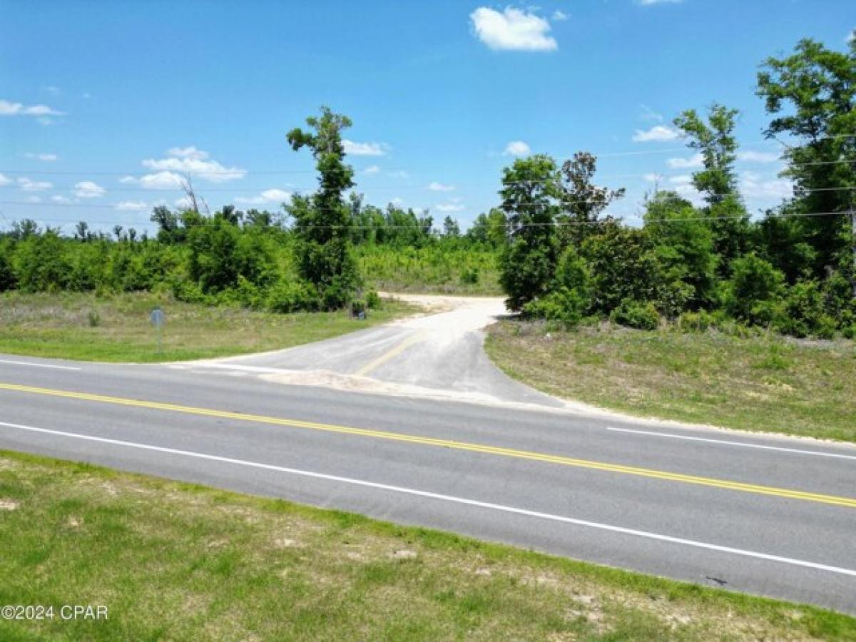 Picture of Residential Land For Sale in Clarksville, Florida, United States