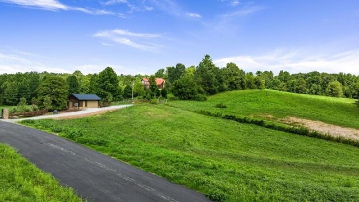 Picture of Residential Land For Sale in Mineral Bluff, Georgia, United States