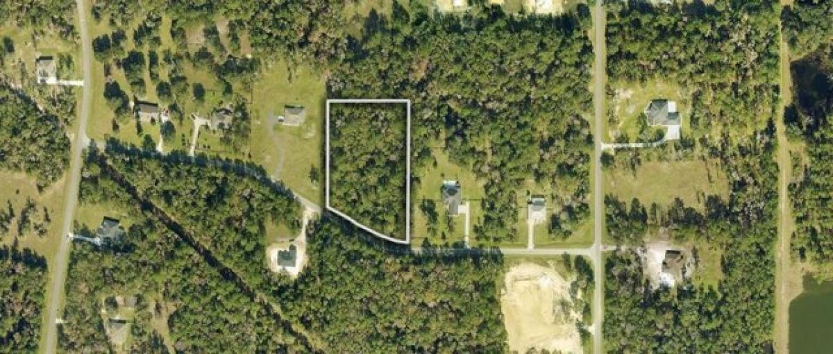 Picture of Residential Land For Sale in Williston, Florida, United States