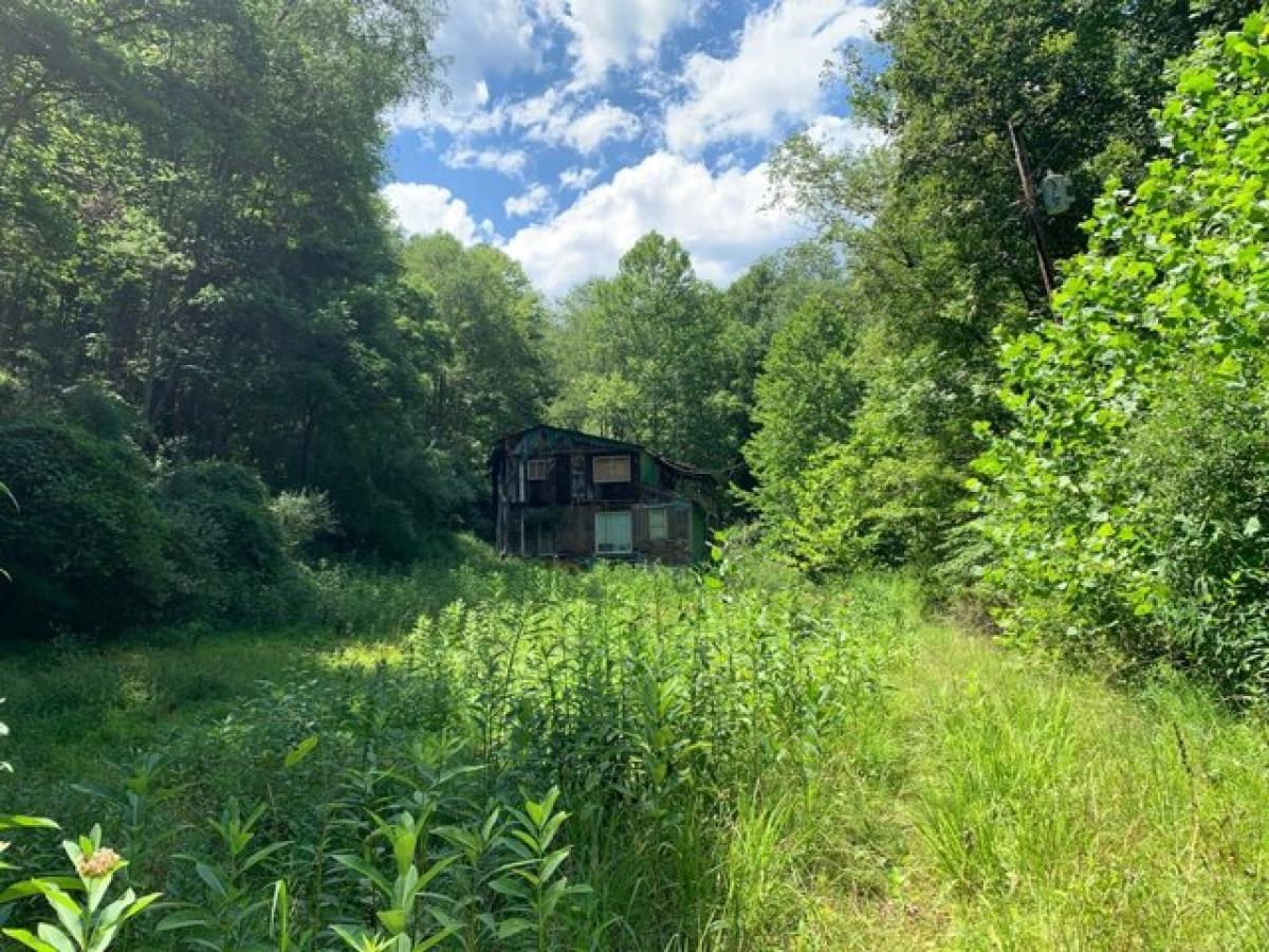 Picture of Home For Sale in West Union, West Virginia, United States