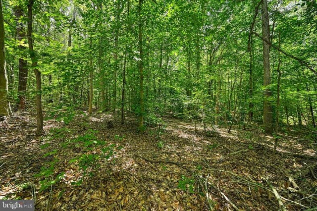 Picture of Residential Land For Sale in Bumpass, Virginia, United States