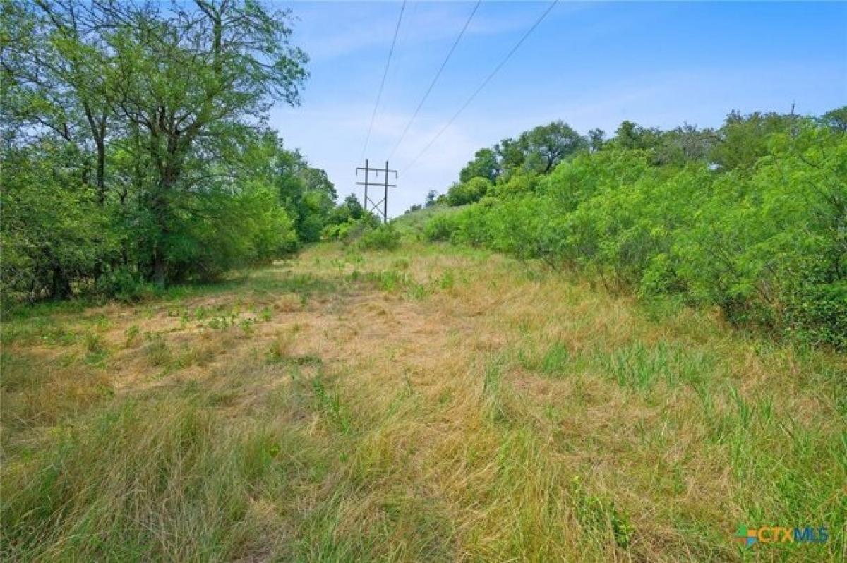 Picture of Residential Land For Sale in Bastrop, Texas, United States