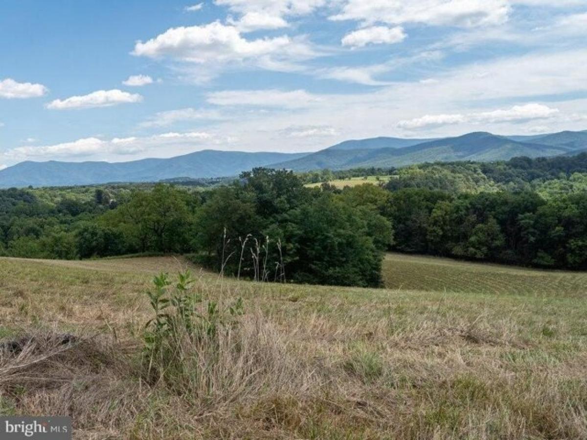 Picture of Residential Land For Sale in Shenandoah, Virginia, United States