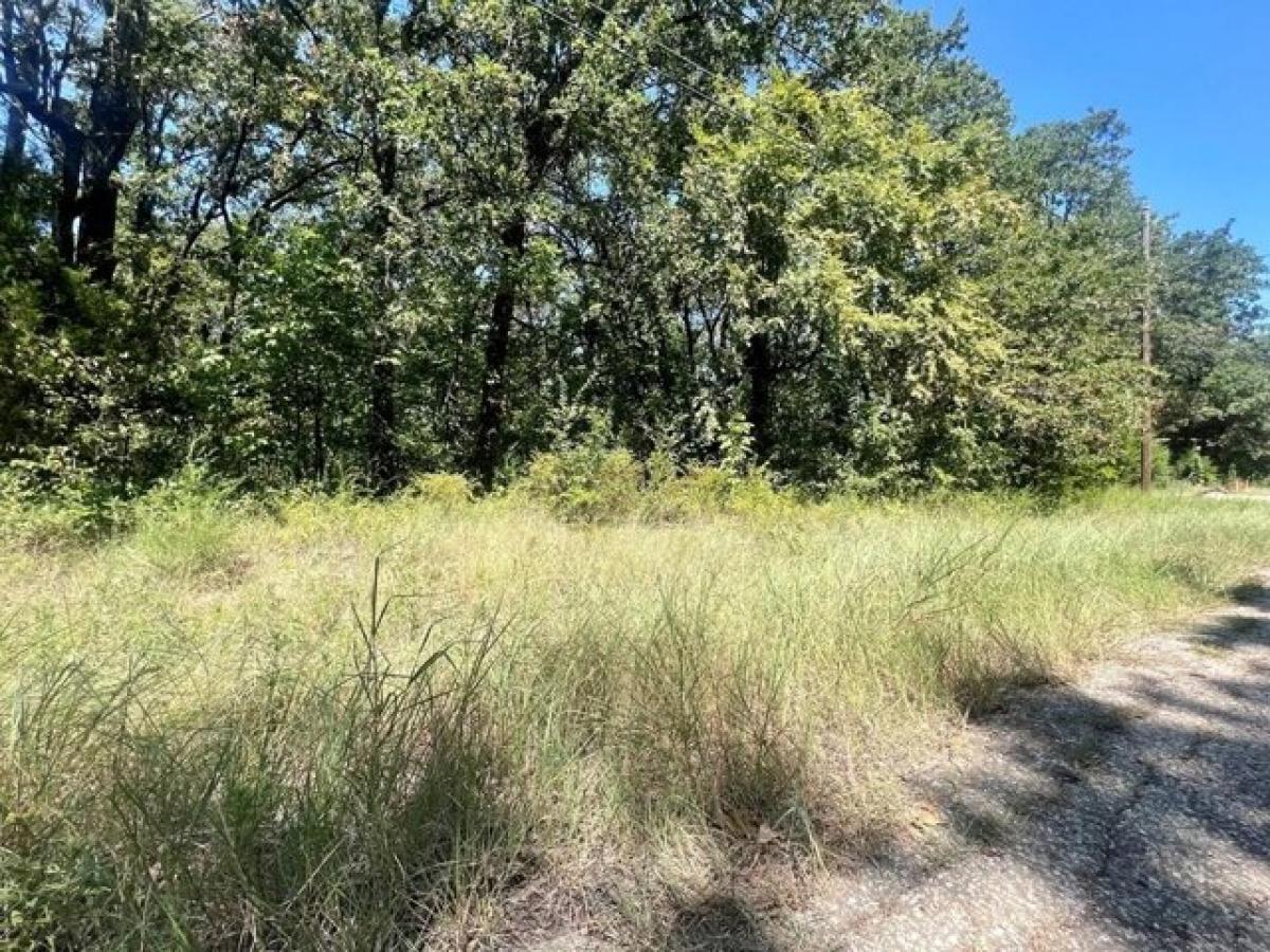 Picture of Residential Land For Sale in Mabank, Texas, United States