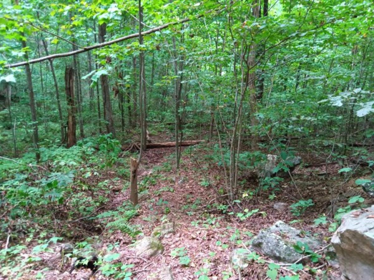 Picture of Residential Land For Sale in Pikeville, Tennessee, United States