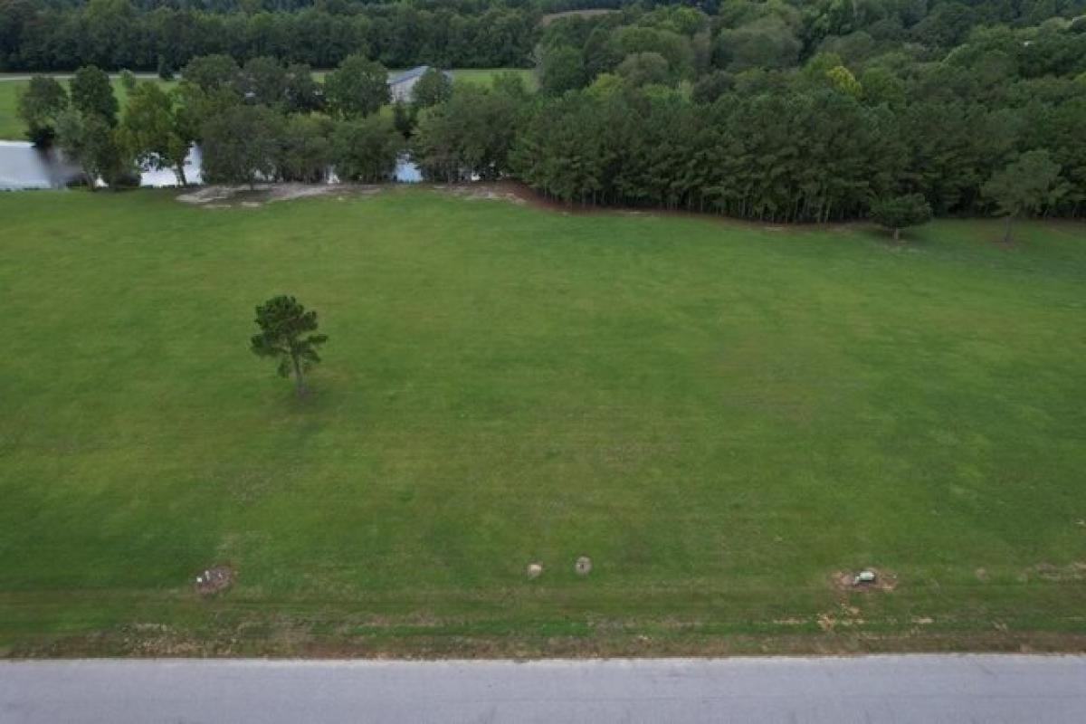 Picture of Residential Land For Sale in Manning, South Carolina, United States