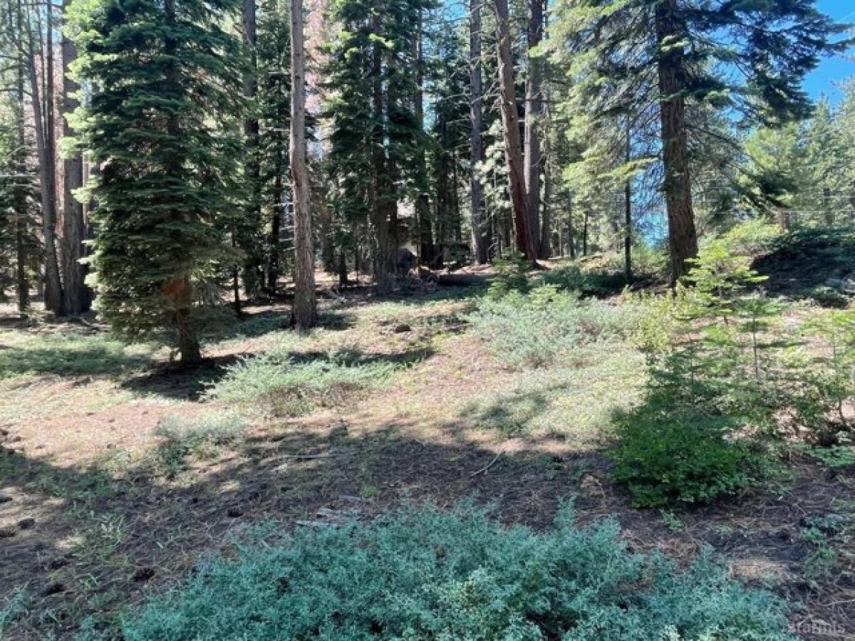 Picture of Residential Land For Sale in South Lake Tahoe, California, United States