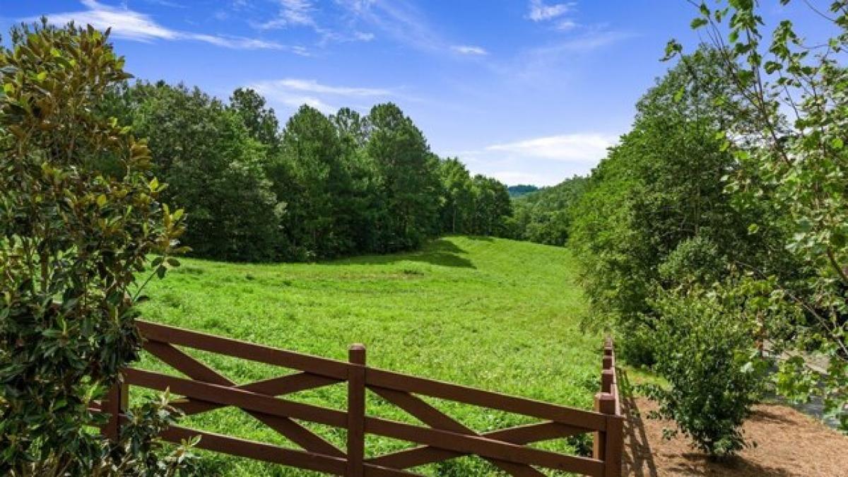 Picture of Residential Land For Sale in Mineral Bluff, Georgia, United States