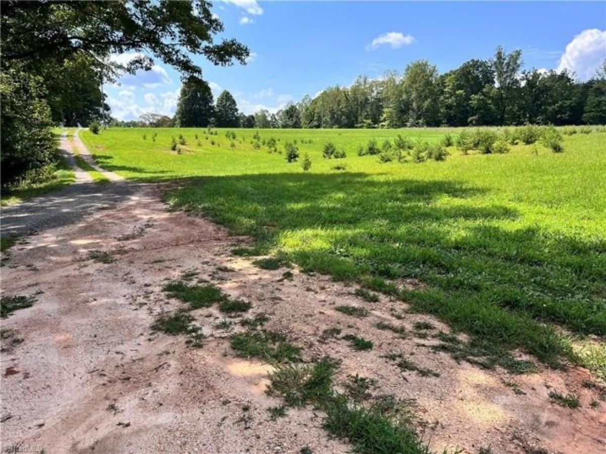 Picture of Residential Land For Sale in Pinnacle, North Carolina, United States