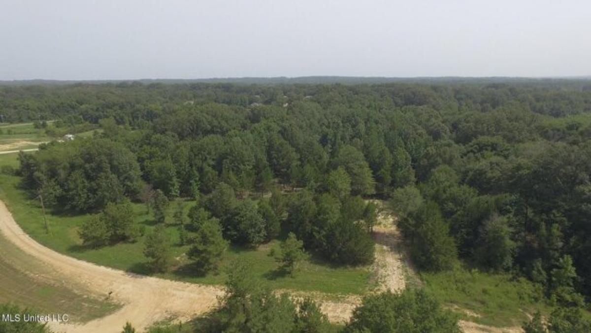 Picture of Residential Land For Sale in Flora, Mississippi, United States