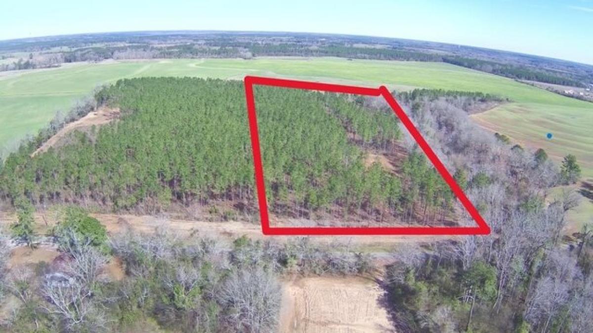 Picture of Residential Land For Sale in Newville, Alabama, United States