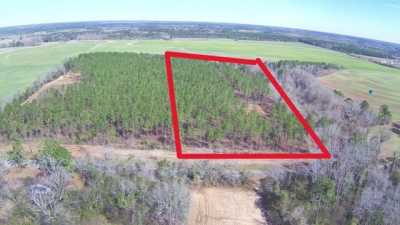 Residential Land For Sale in Newville, Alabama