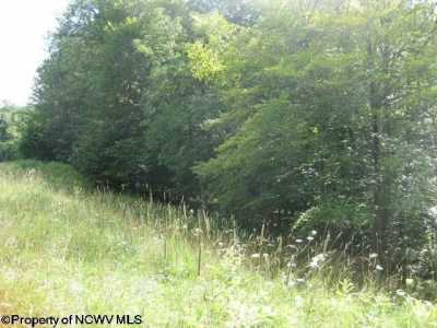 Residential Land For Sale in Davis, West Virginia