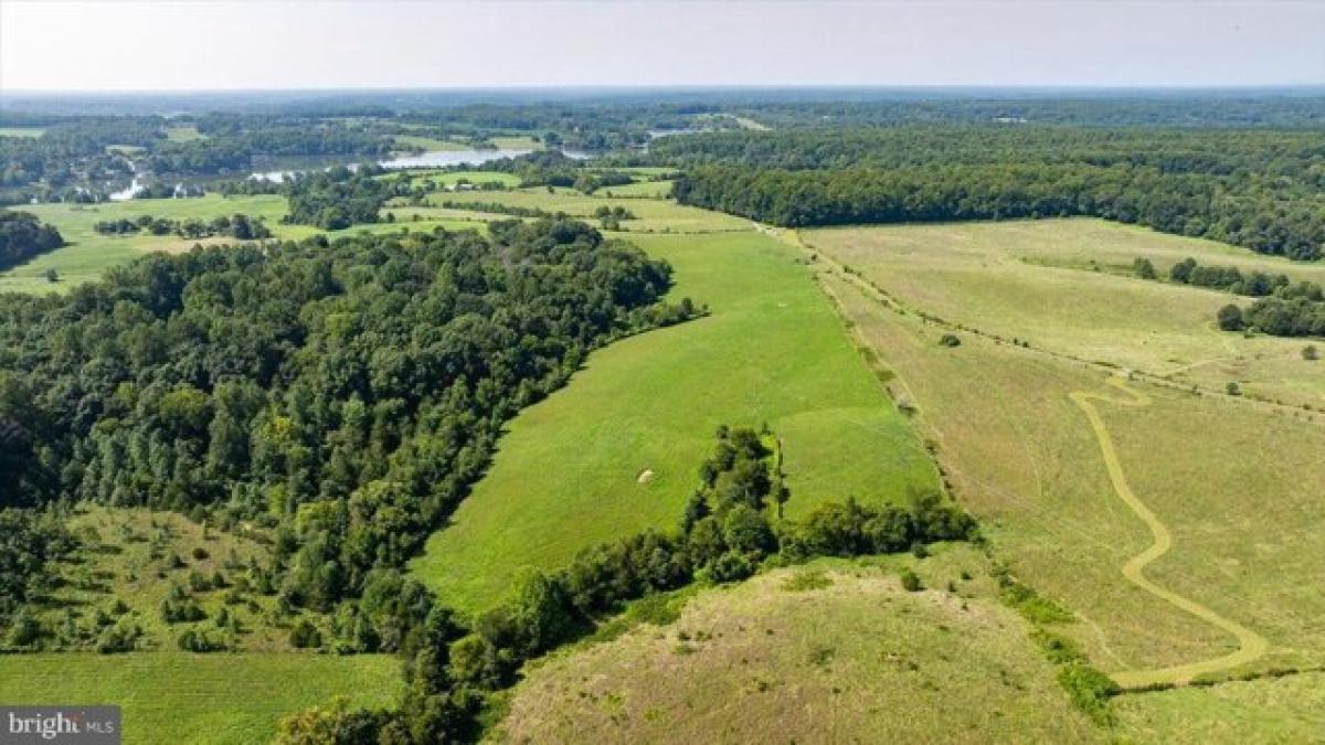 Picture of Residential Land For Sale in Orange, Virginia, United States