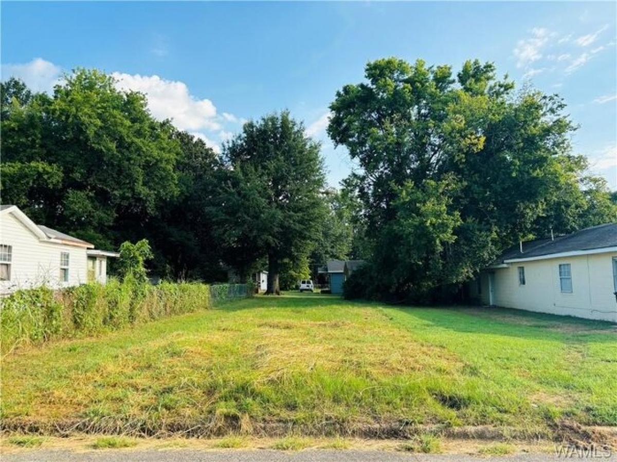 Picture of Residential Land For Sale in Tuscaloosa, Alabama, United States