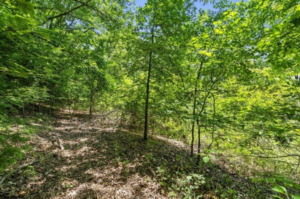 Picture of Residential Land For Sale in Branson West, Missouri, United States