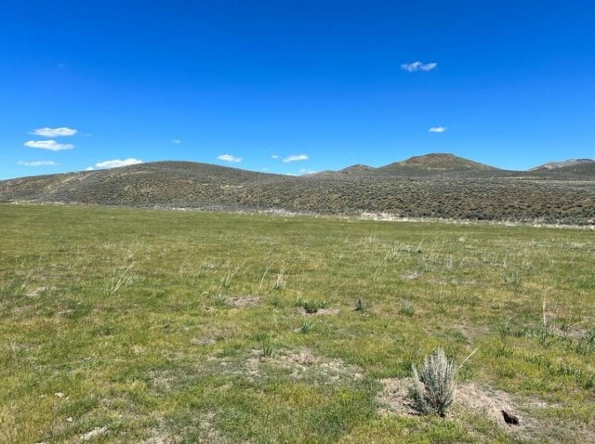 Picture of Residential Land For Sale in Wells, Nevada, United States