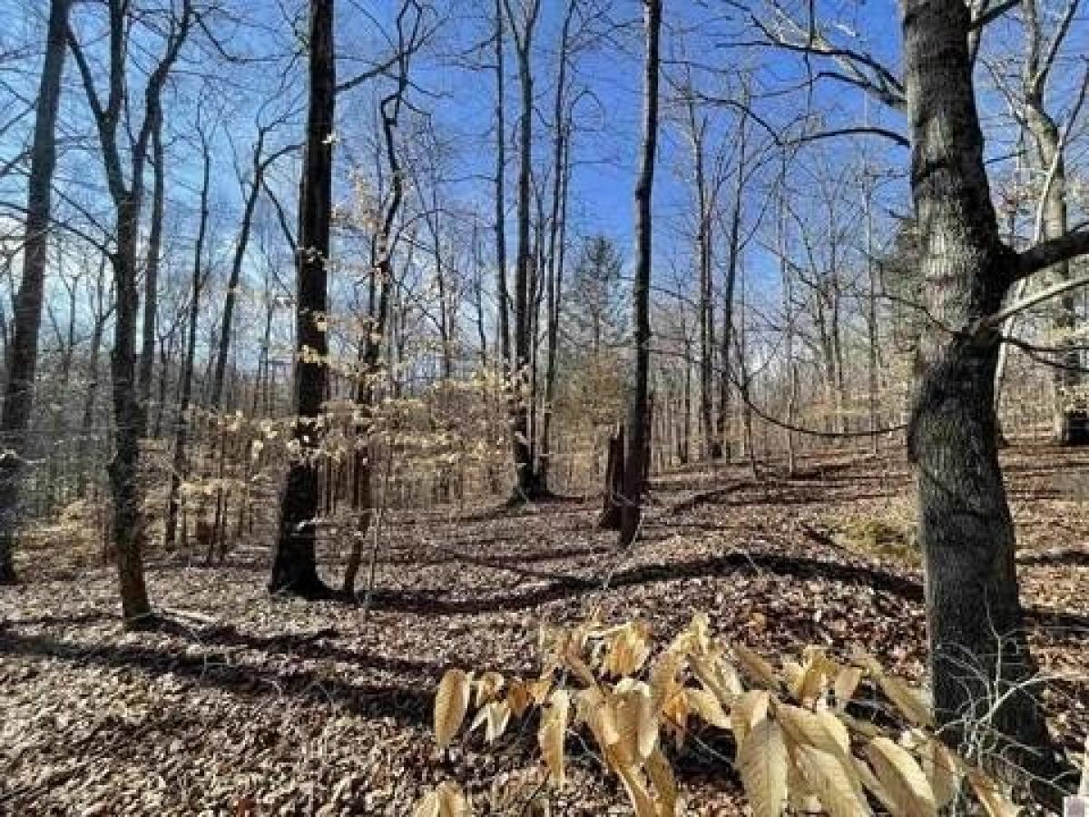 Picture of Residential Land For Sale in Cadiz, Kentucky, United States