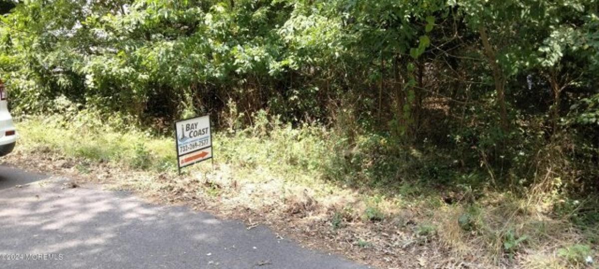 Picture of Residential Land For Sale in Ocean Gate, New Jersey, United States