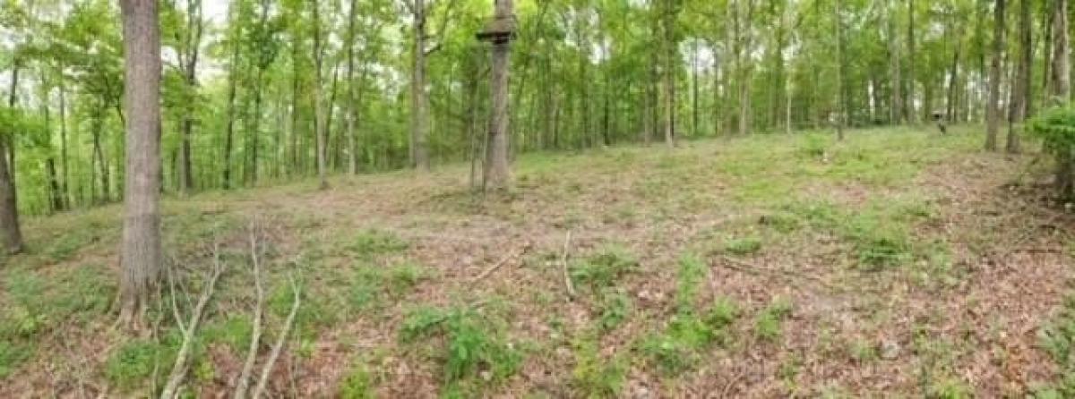 Picture of Residential Land For Sale in Washburn, Missouri, United States