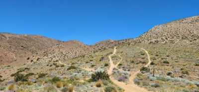 Residential Land For Sale in Rosamond, California