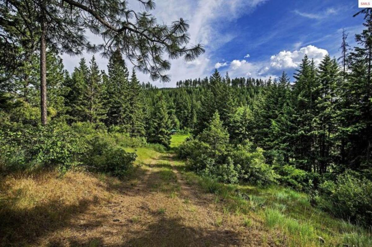 Picture of Residential Land For Sale in Bonners Ferry, Idaho, United States