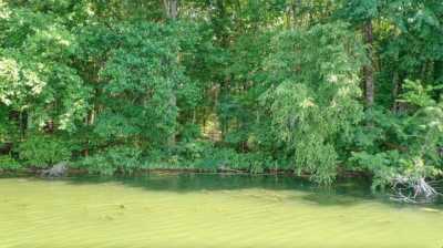 Residential Land For Sale in Decherd, Tennessee