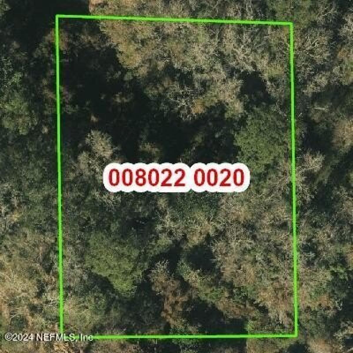 Picture of Residential Land For Sale in Jacksonville, Florida, United States