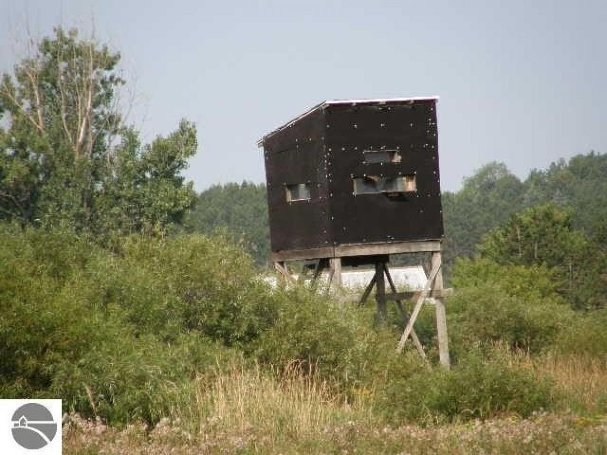 Picture of Residential Land For Sale in Shepherd, Michigan, United States