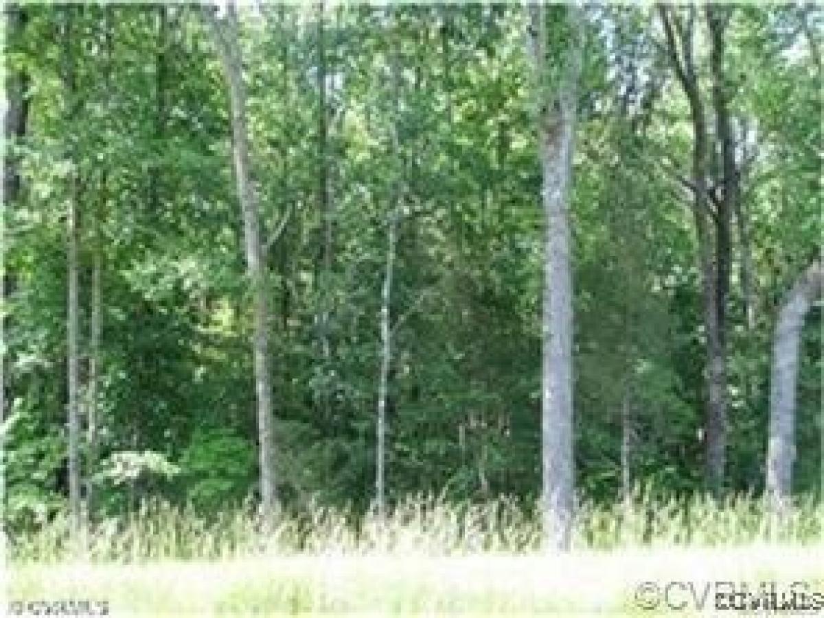 Picture of Residential Land For Sale in Doswell, Virginia, United States