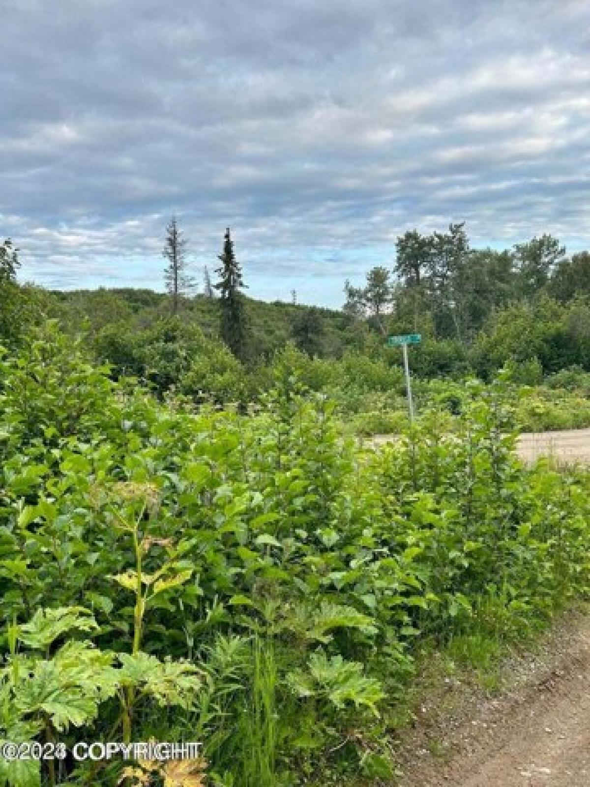 Picture of Residential Land For Sale in Nikiski, Alaska, United States