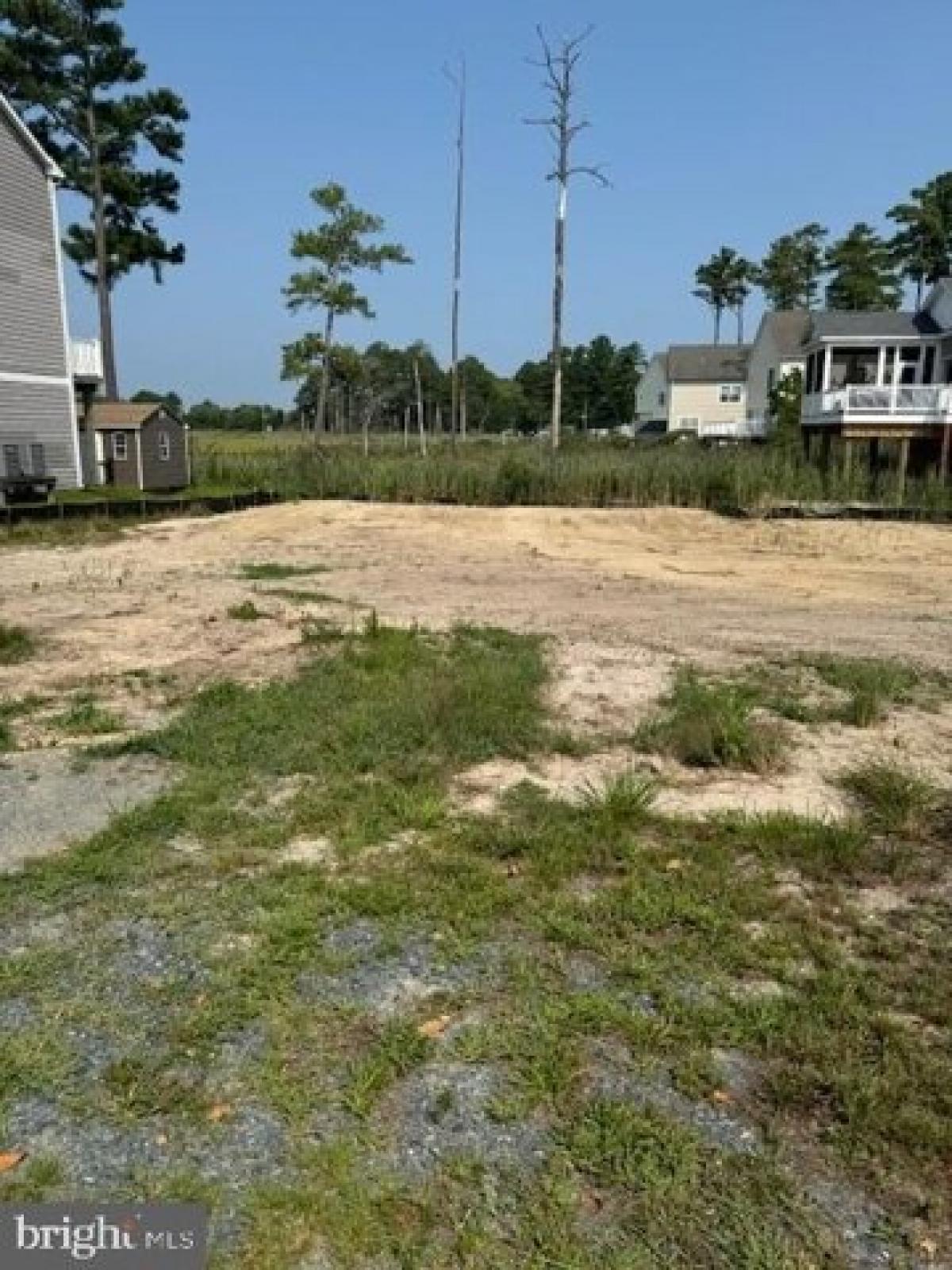 Picture of Residential Land For Sale in Millsboro, Delaware, United States