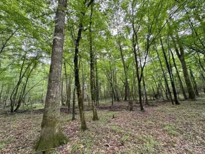 Residential Land For Sale in Goodman, Mississippi