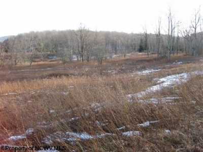 Residential Land For Sale in Davis, West Virginia