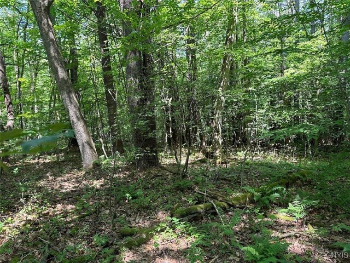 Picture of Residential Land For Sale in Bolivar, New York, United States