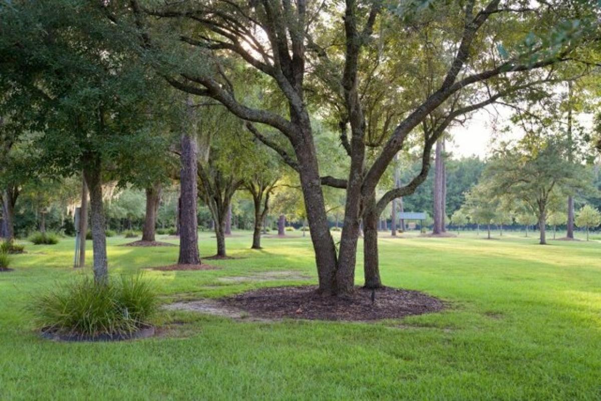 Picture of Home For Sale in Andrews, South Carolina, United States