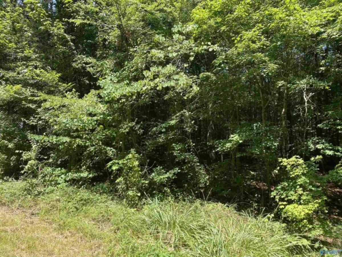 Picture of Residential Land For Sale in Hokes Bluff, Alabama, United States