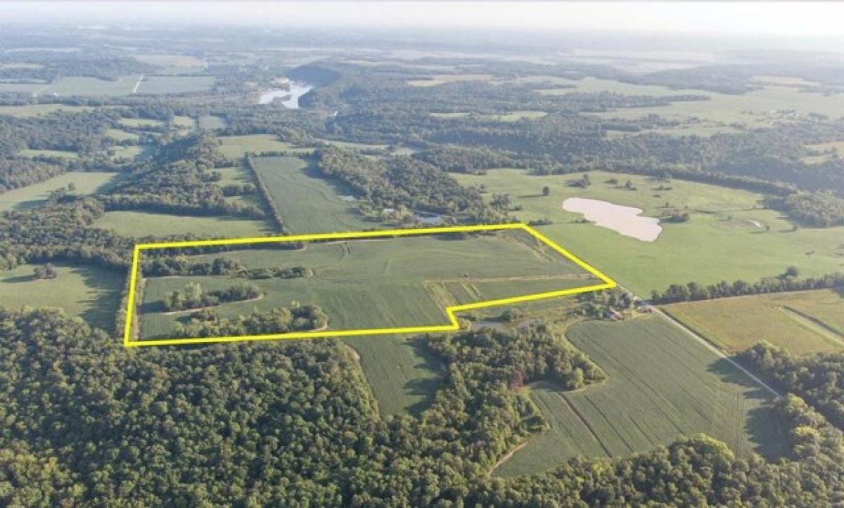 Picture of Residential Land For Sale in Center, Missouri, United States